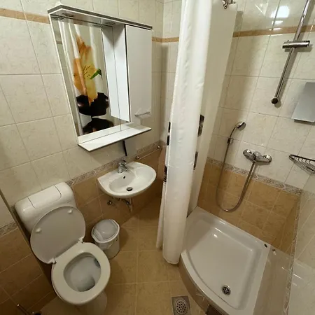 Simovic Guest house 3*
